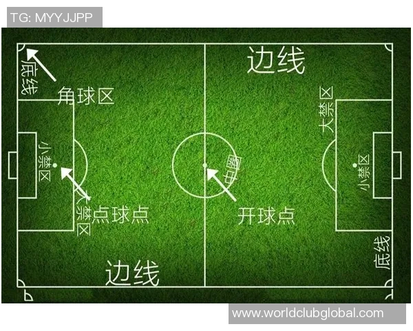 从零起步掌握足球速度技巧全面指南助你在赛场上如虎添翼